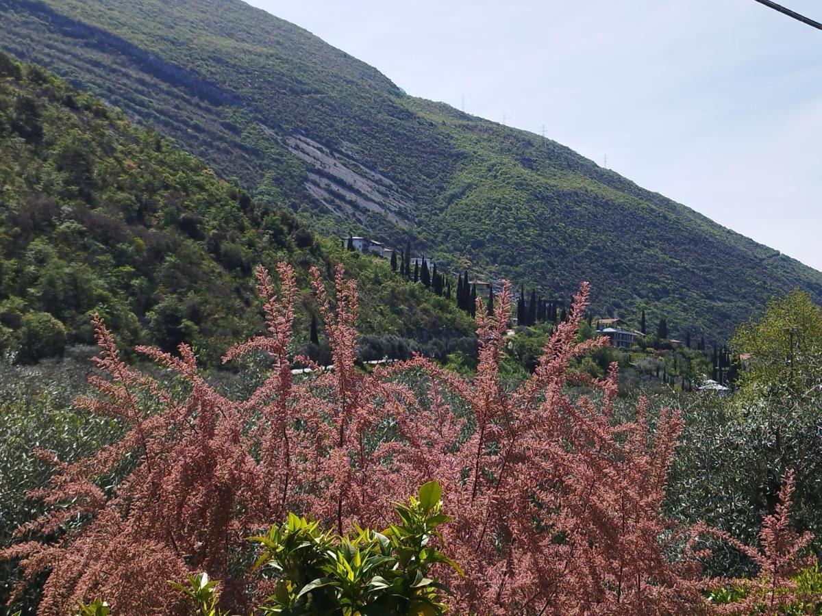 Casa Di Nin Apartment Torbole Sul Garda Екстериор снимка